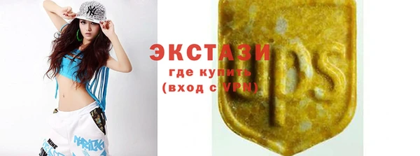 стаф Дмитриев