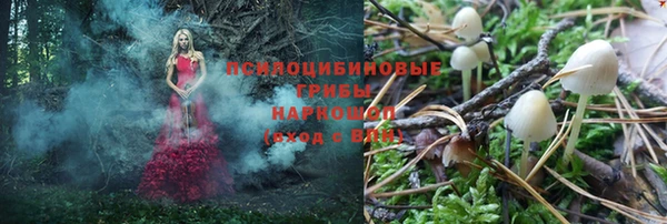 марки nbome Гусиноозёрск