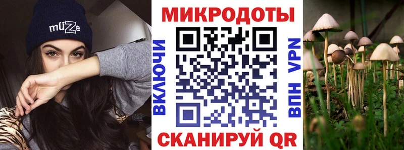 Купить  Ртищево  Галлюциногенные грибы Psilocybe 
